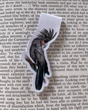 Red Tail Cockatoo Magnetic Bookmark