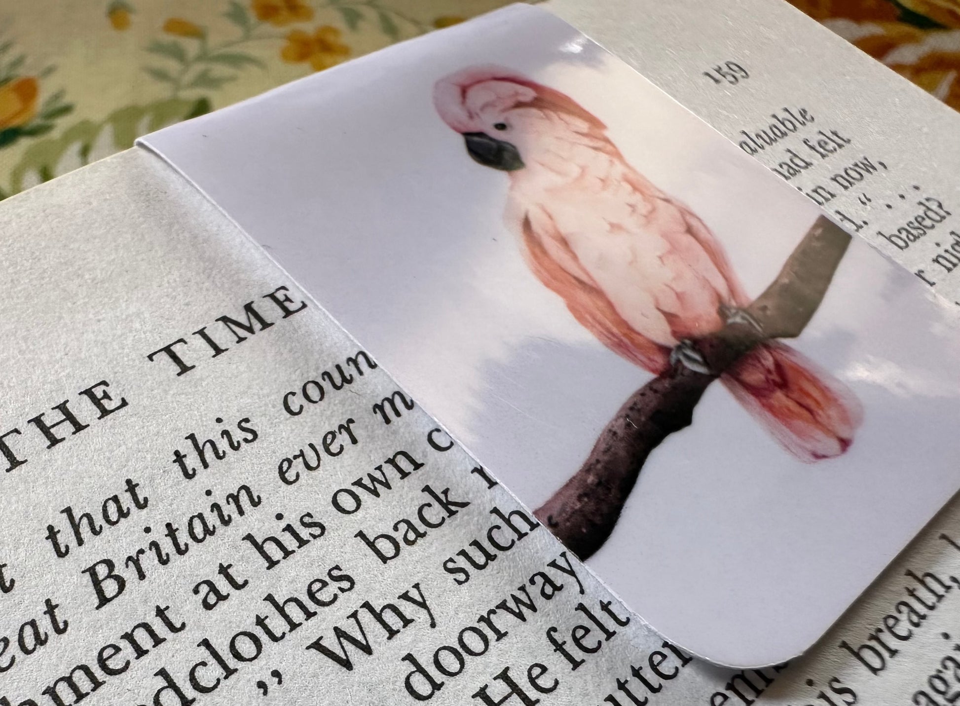 Major Mitchell Watercolor Magnetic Bookmark Barb Wire Designs