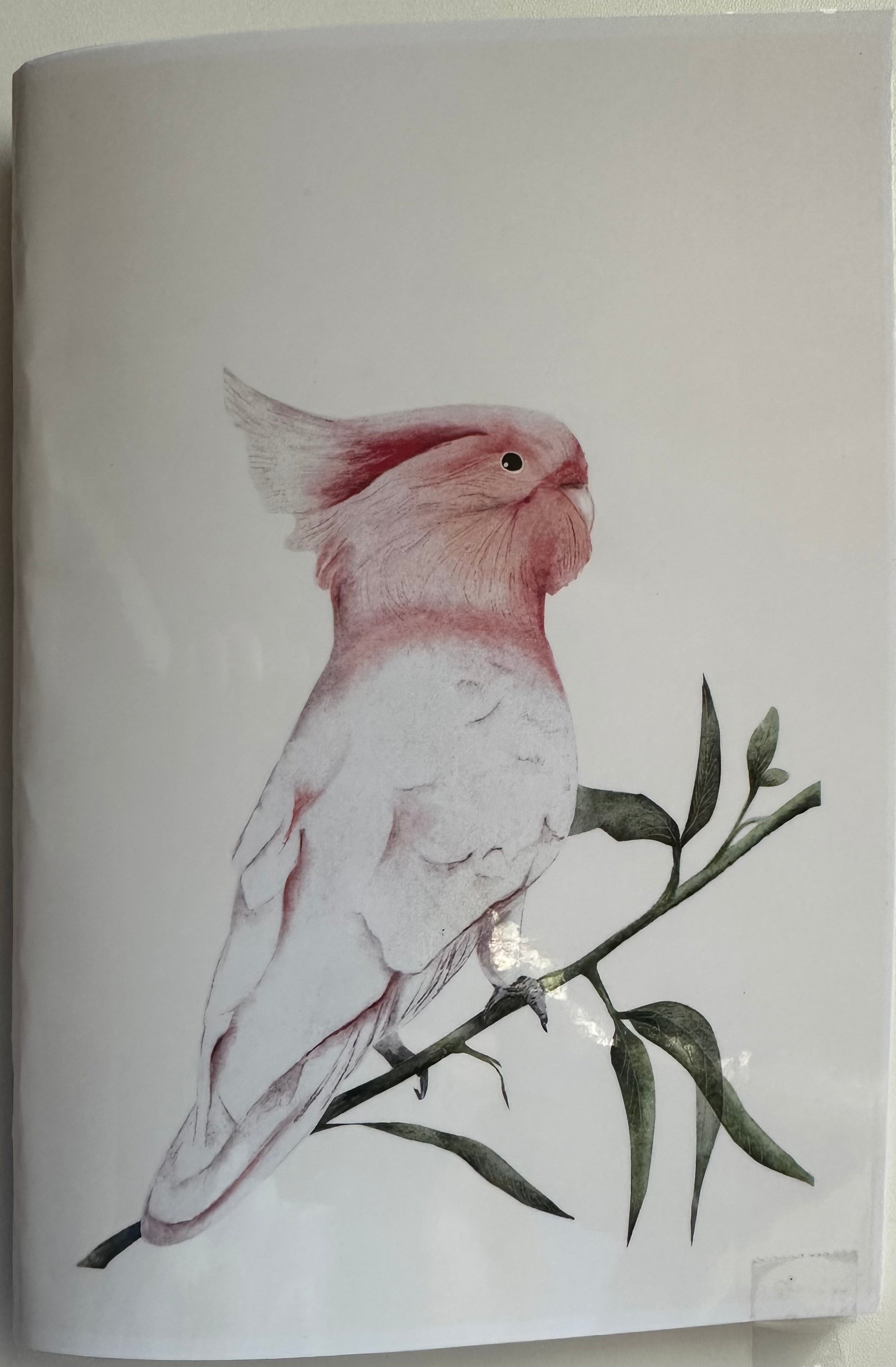 Pink Cockatoo Handmade Notebook/Journal
