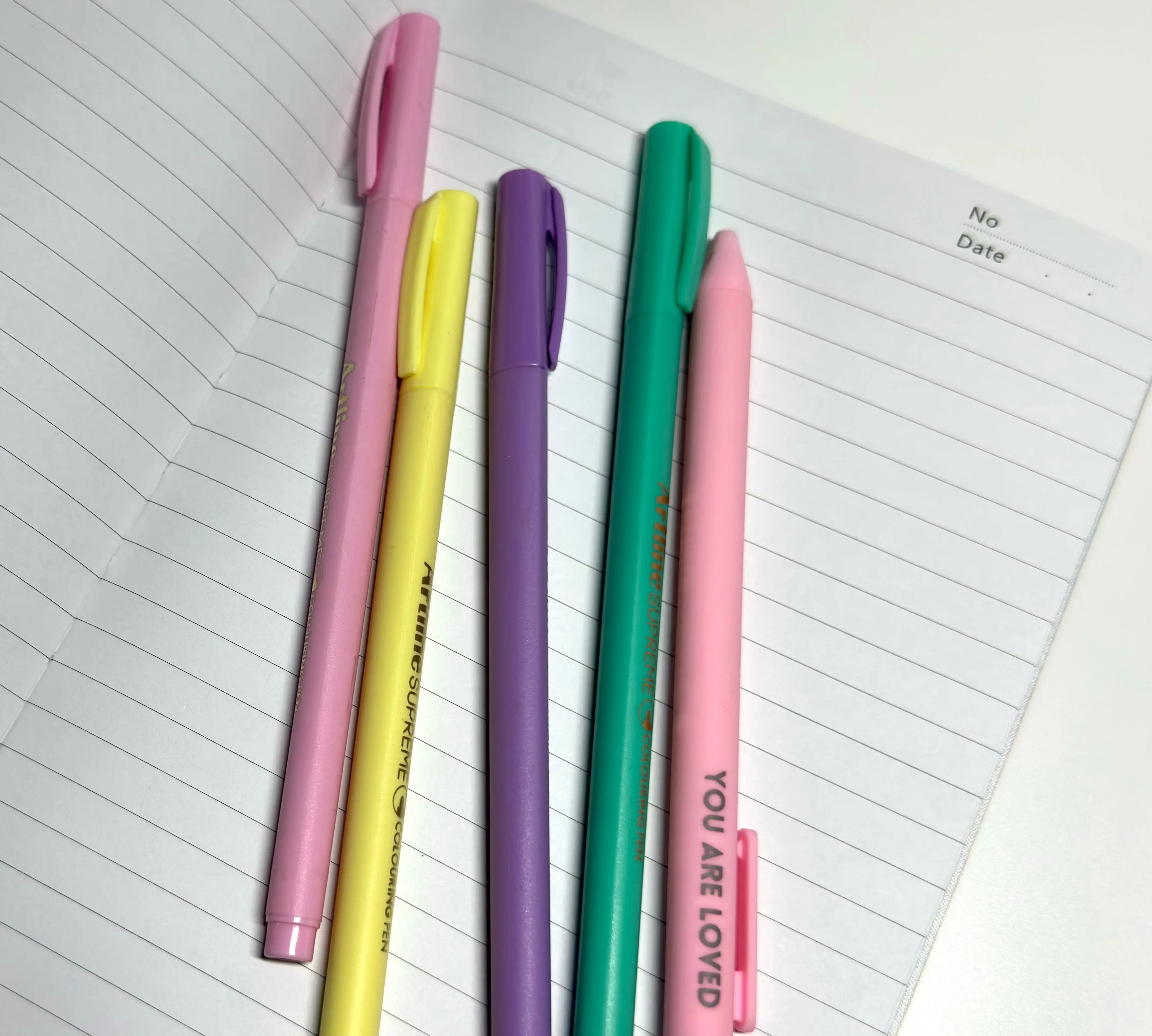 Lisa Lamb Fabric Notebook scene inside page